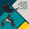 imageSafety 1st Grow and Go Flex 8in1 Car Seat Stroller Combo Baby Stroller Travel Systems for Infants 430 lbs Stroller and Carseat Combo Set Forest TideOrchid Bloom