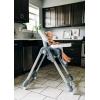 imageSafety 1st High Chairs for Babies and Toddlers 3In1 Grow and Go with Tray and Adjustable Seat BirchbarkBirchbark